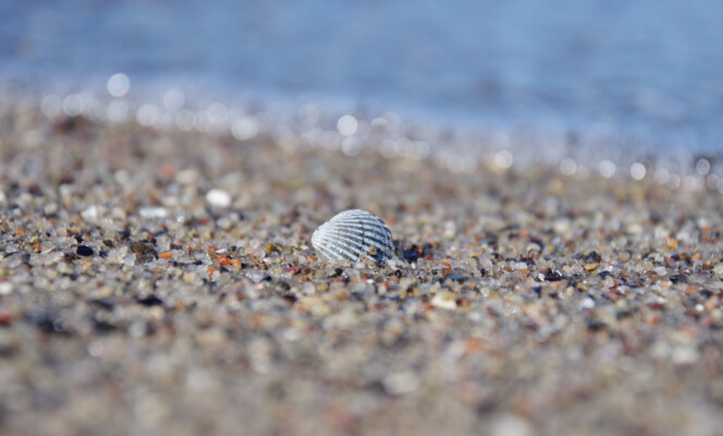 Säriaeg 1/640 sek | Ava f/5,6 | Tundlikkus ISO 200