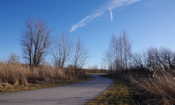 Säriaeg 1/200 sek | Ava f/9 | Tundlikkus ISO 200