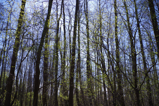 Säriaeg 1/500 sek | Ava f/3.2 | Tundlikkus ISO 100