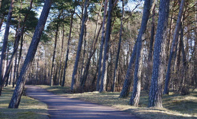 Säriaeg 1/100 sek | Ava f/5,6 | Tundlikkus ISO 200