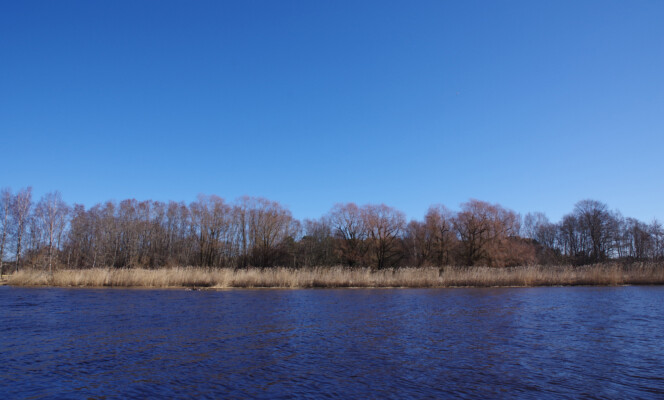 Säriaeg 1/320 sek | Ava f/8 | Tundlikkus ISO 200