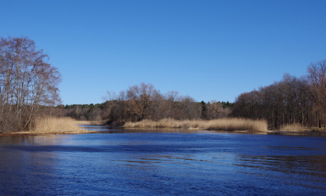 Säriaeg 1/500 sek | Ava f/8 | Tundlikkus ISO 200