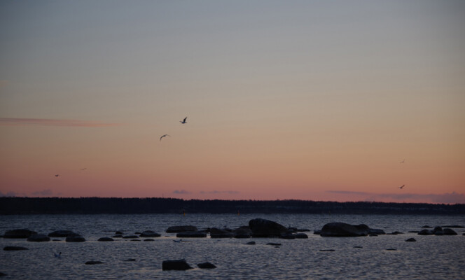 105mm | Säriaeg 1/160 sek | Ava f/5.6 | Tundlikkus ISO 200