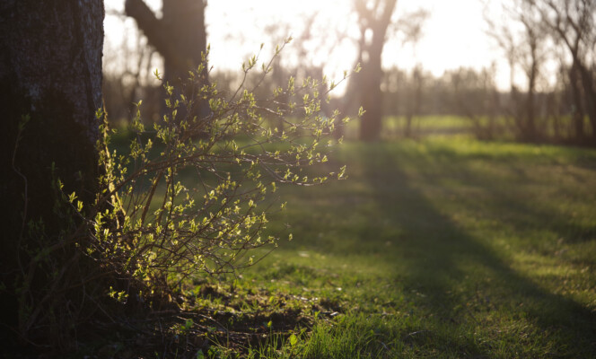 105mm | Säriaeg 1/200 sek | Ava f/5.6 | Tundlikkus ISO 160
