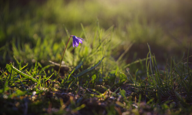 105mm | Säriaeg 1/200 sek | Ava f/5.6 | Tundlikkus ISO 200