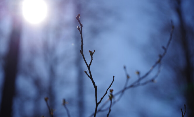 105mm | Säriaeg 1/640 sek | Ava f/5.6 | Tundlikkus ISO 100