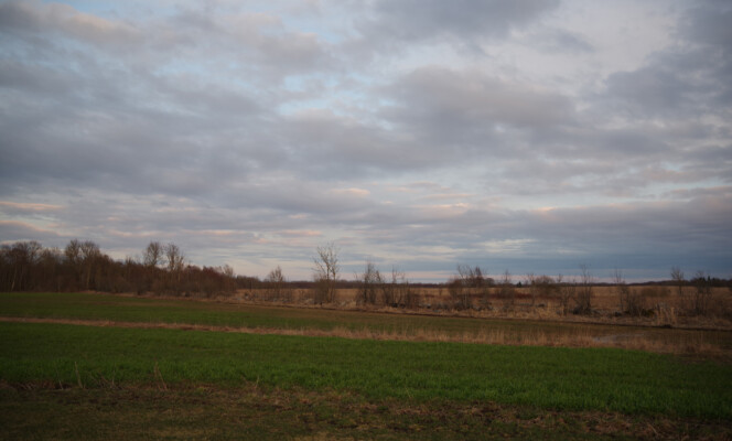 28mm | Säriaeg 1/160 sek | Ava f/4.5 | Tundlikkus ISO 200