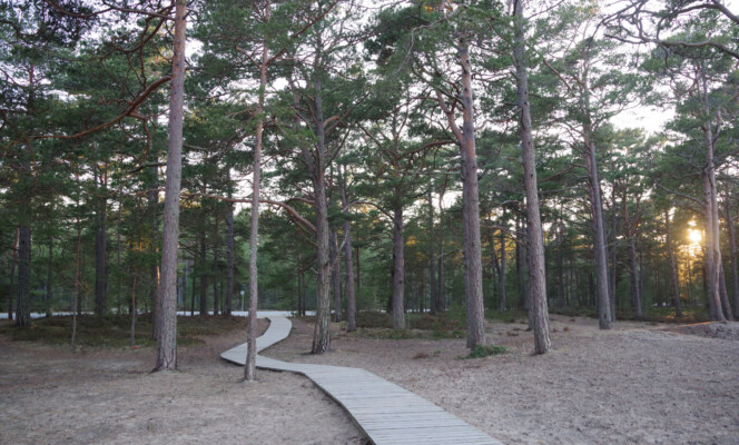 28mm | Säriaeg 1/160 sek | Ava f/6.3 | Tundlikkus ISO 2500