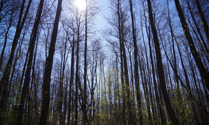 28mm | Säriaeg 1/640 sek | Ava f/3.5 | Tundlikkus ISO 100