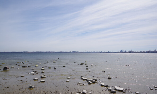 28mm | Säriaeg 1/800 sek | Ava f/8 | Tundlikkus ISO 200